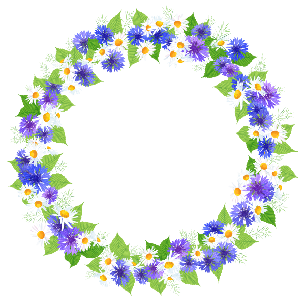 Цветы вокруг рамки