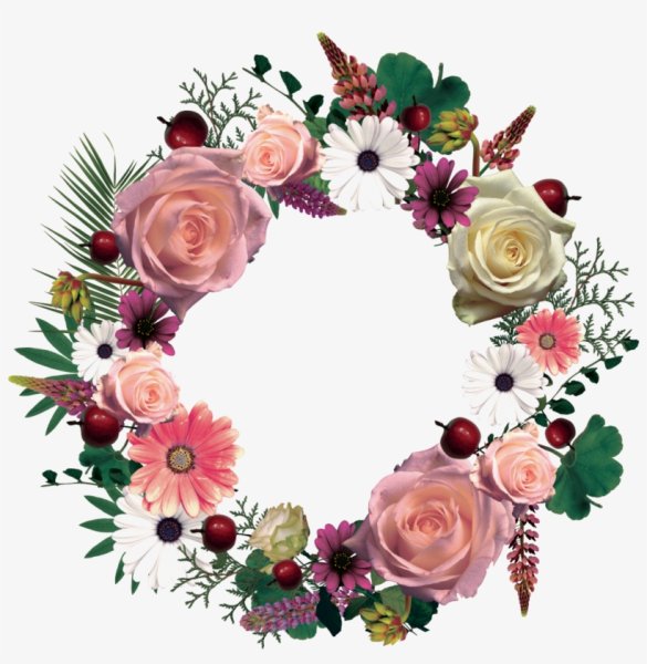 Цветы в круге