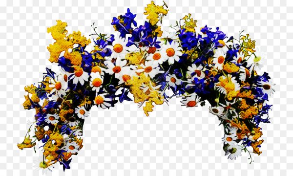 Полевые цветы для фотошопа