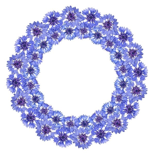 Рамка из Васильков