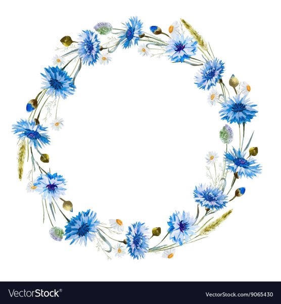Венок из полевых цветов акварель
