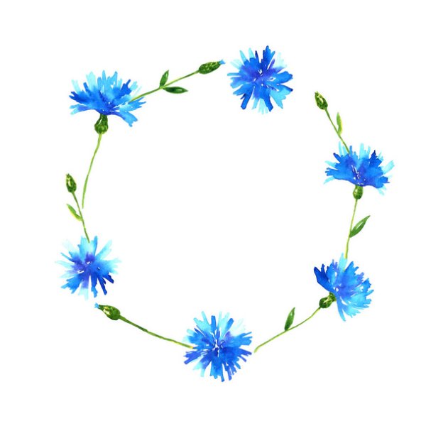 Круг из Васильков