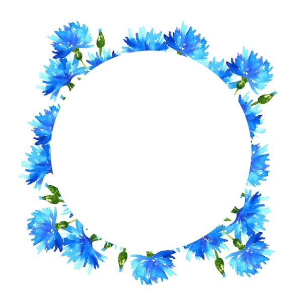 Васильки рамка круглая