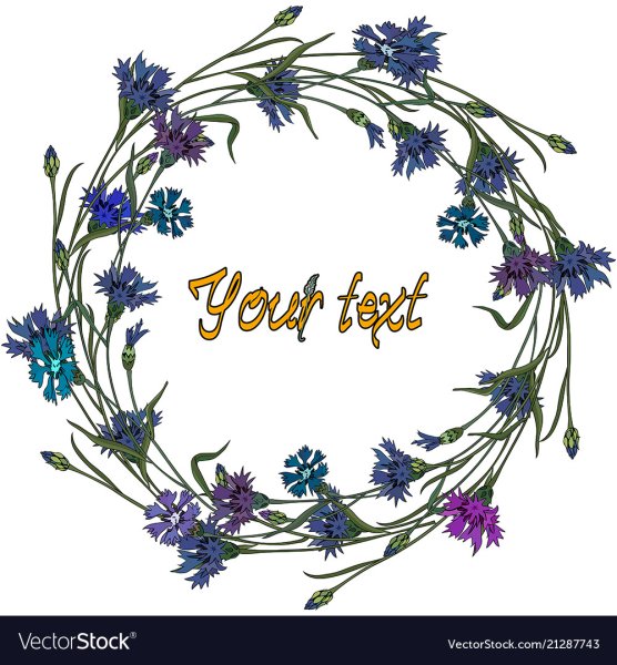 Венок из Васильков вектор