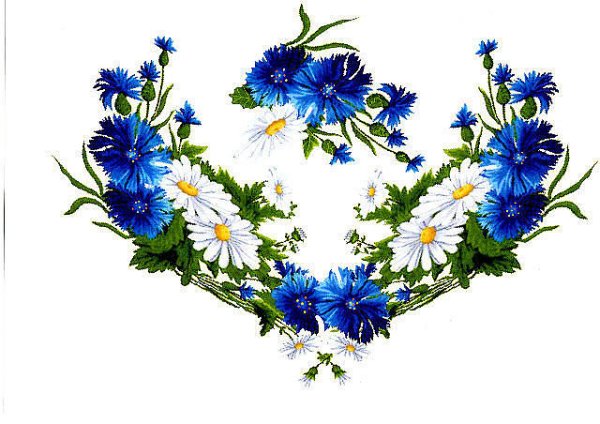 Васильки орнамент