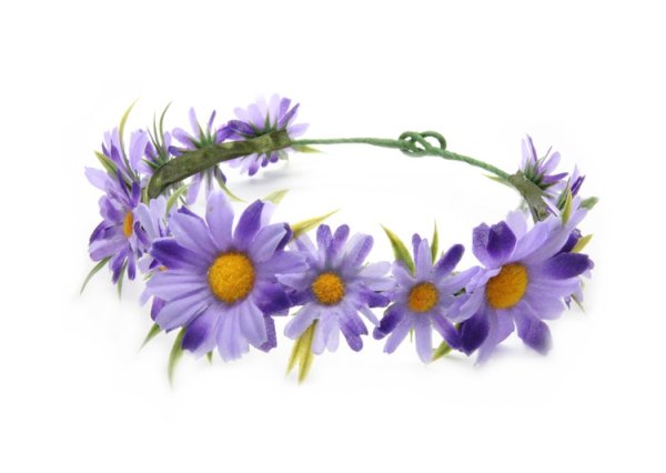Веночек на голову из полевых цветов на прозрачном фоне