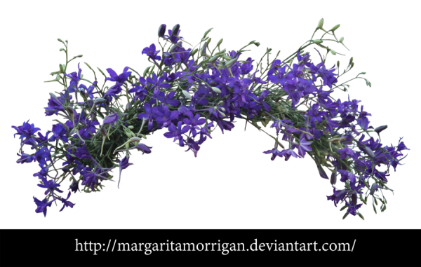 Венок из полевых цветов на белом фоне