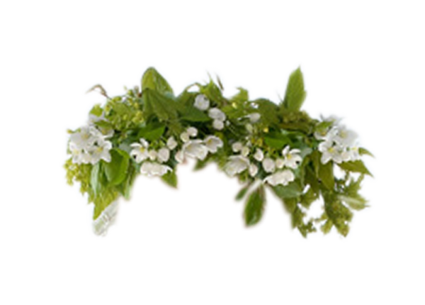 Венок на прозрачном фоне для фотошопа