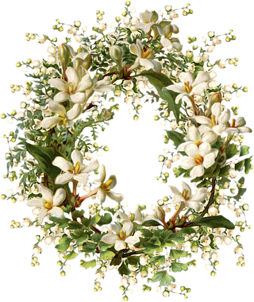 Рамка из цветов на прозрачном фоне