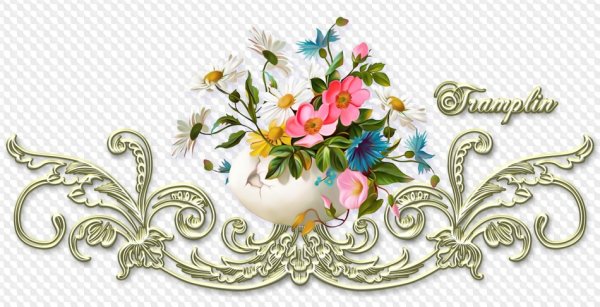 Цветочные вензеля на прозрачном фоне