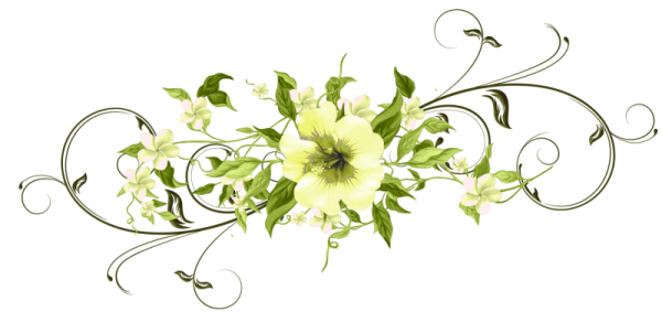 Цветочный декор на белом фоне