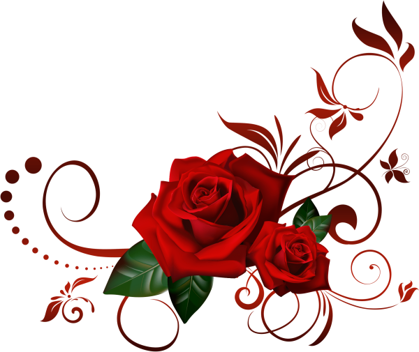 Розы уголок