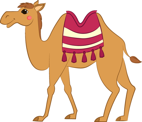 Верблюд для дошкольников