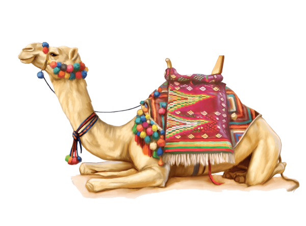 Верблюд без фона