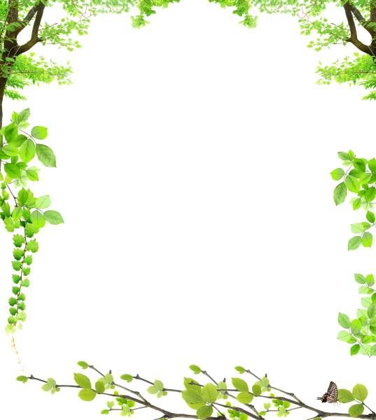 Рамка дерево