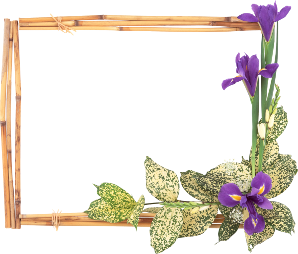 Рамка с цветами