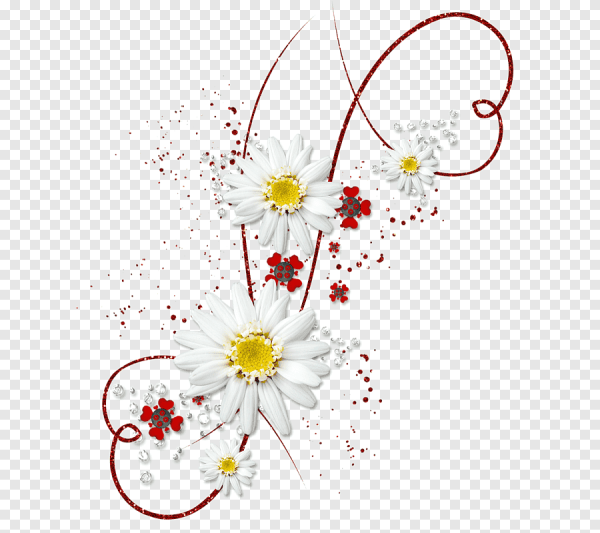 Цветочки для презентации на прозрачном фоне