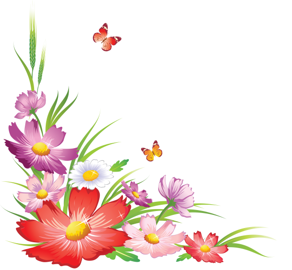 Цветы на прозрачном фоне для презентаций