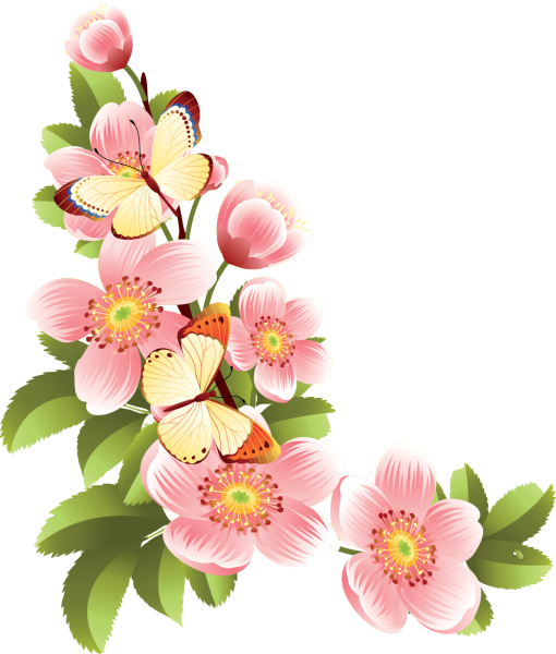 ЦВЕТЫТЫ на прозрачном фоне