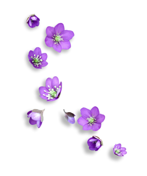 Маленькие цветочки