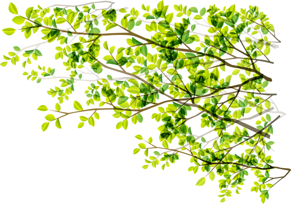 Ветка с листьями