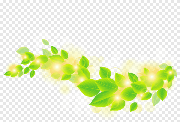 Зеленая веточка