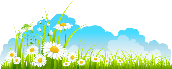 Летний клипарт на прозрачном фоне