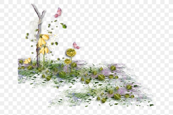 Природа на прозрачной основе