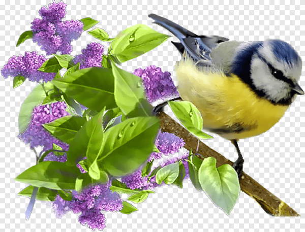 Весенние птички