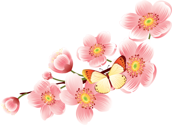 Весенние цветы на прозрачном фоне