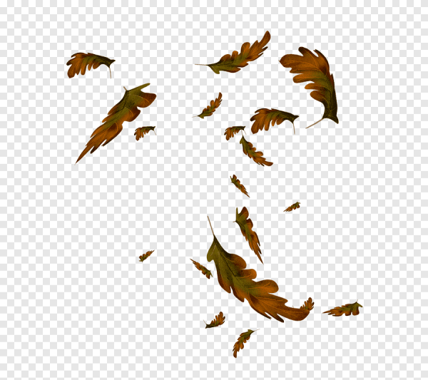 Падающие листья на прозрачном фоне