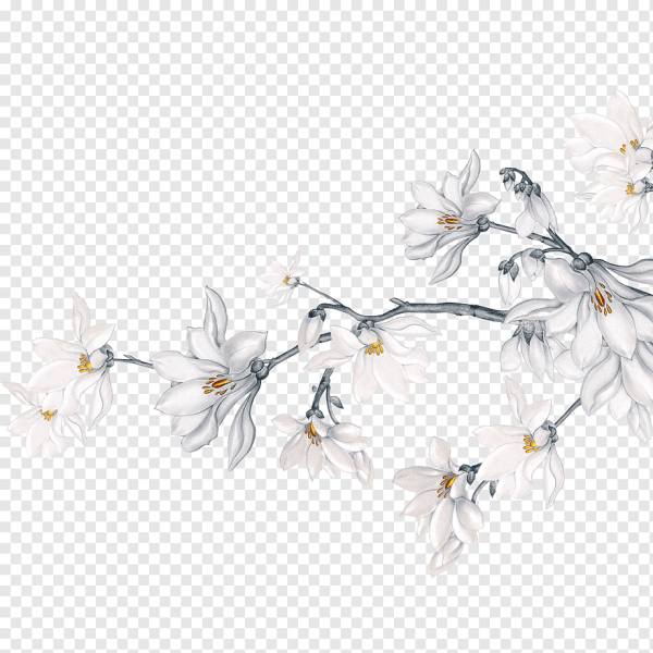 Веточка белых цветов