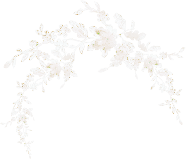 Белые цветы для фотошопа