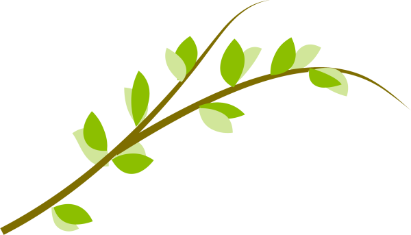 Веточка на белом фоне