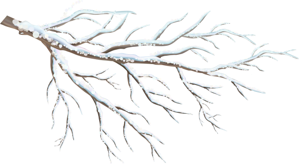 Зимняя ветка на прозрачном фоне