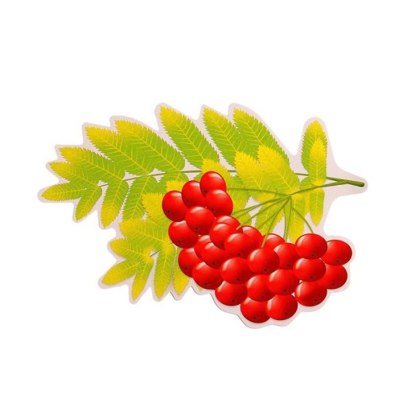 Веточка рябины для детей