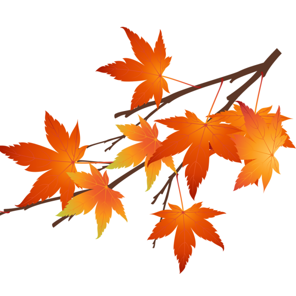 Осенние листья на прозрачном фоне