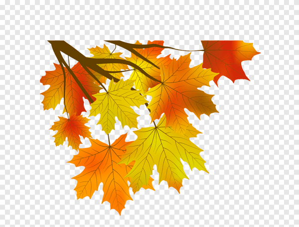 Осенние листья клипарт