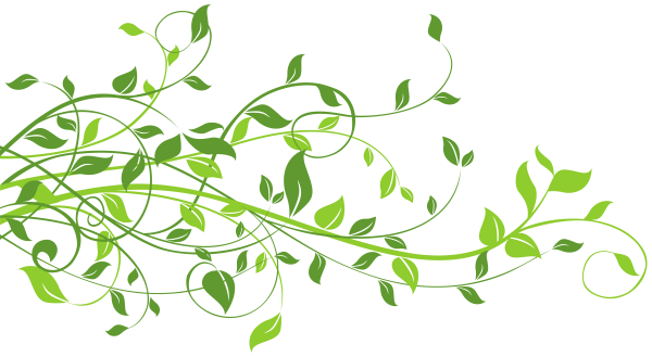 Орнамент из растений