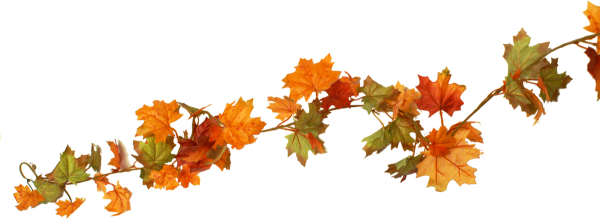 Осенняя веточка на прозрачном фоне