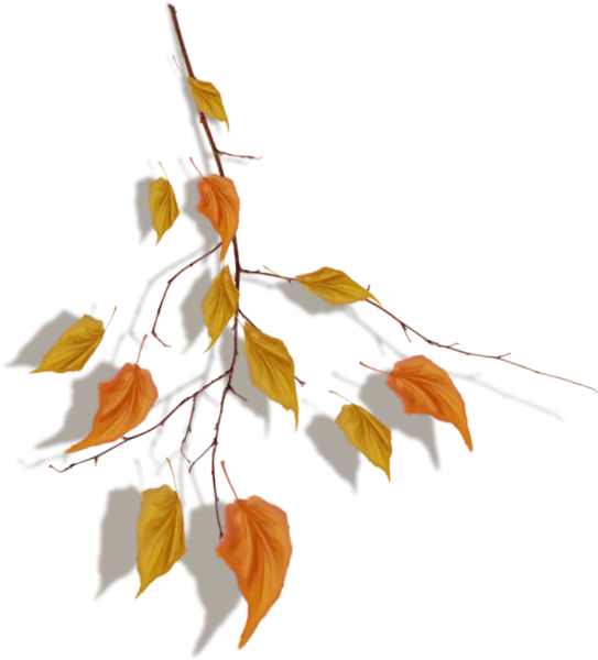 Осенняя веточка