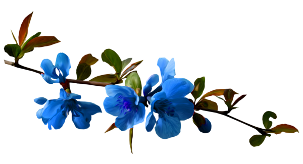 Веточка с синими цветами