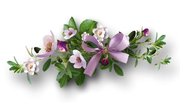 Веточка цветов на прозрачном фоне