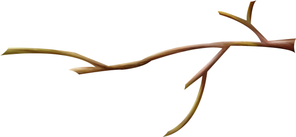 Коричневая ветка