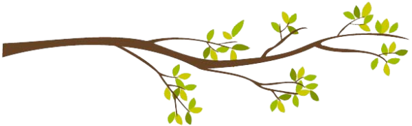 Ветка для детей