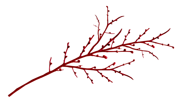 Мелкие ветки