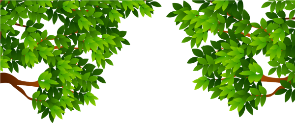 Ветка дерева мультяшная