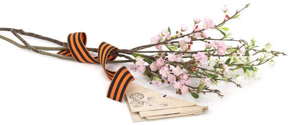 Георгиевская ленточка с веточкой