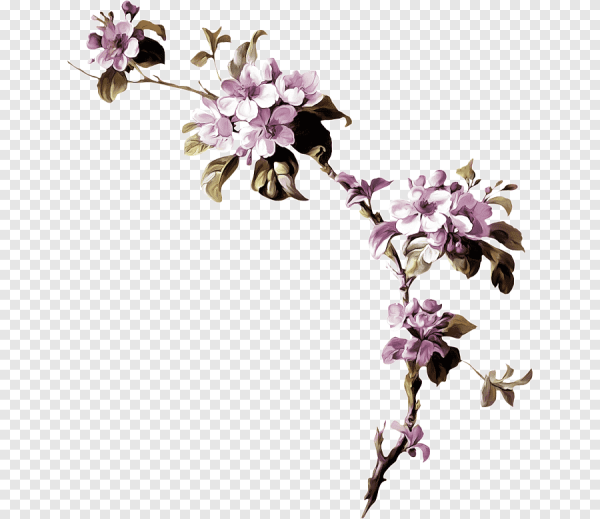 Цветы на ветке