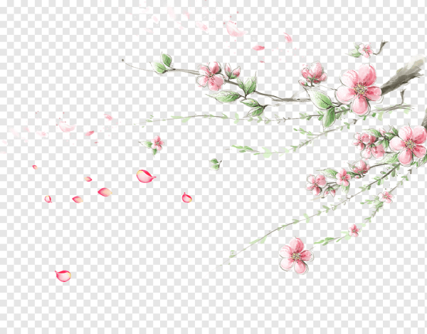 Веточки с мелкими цветами